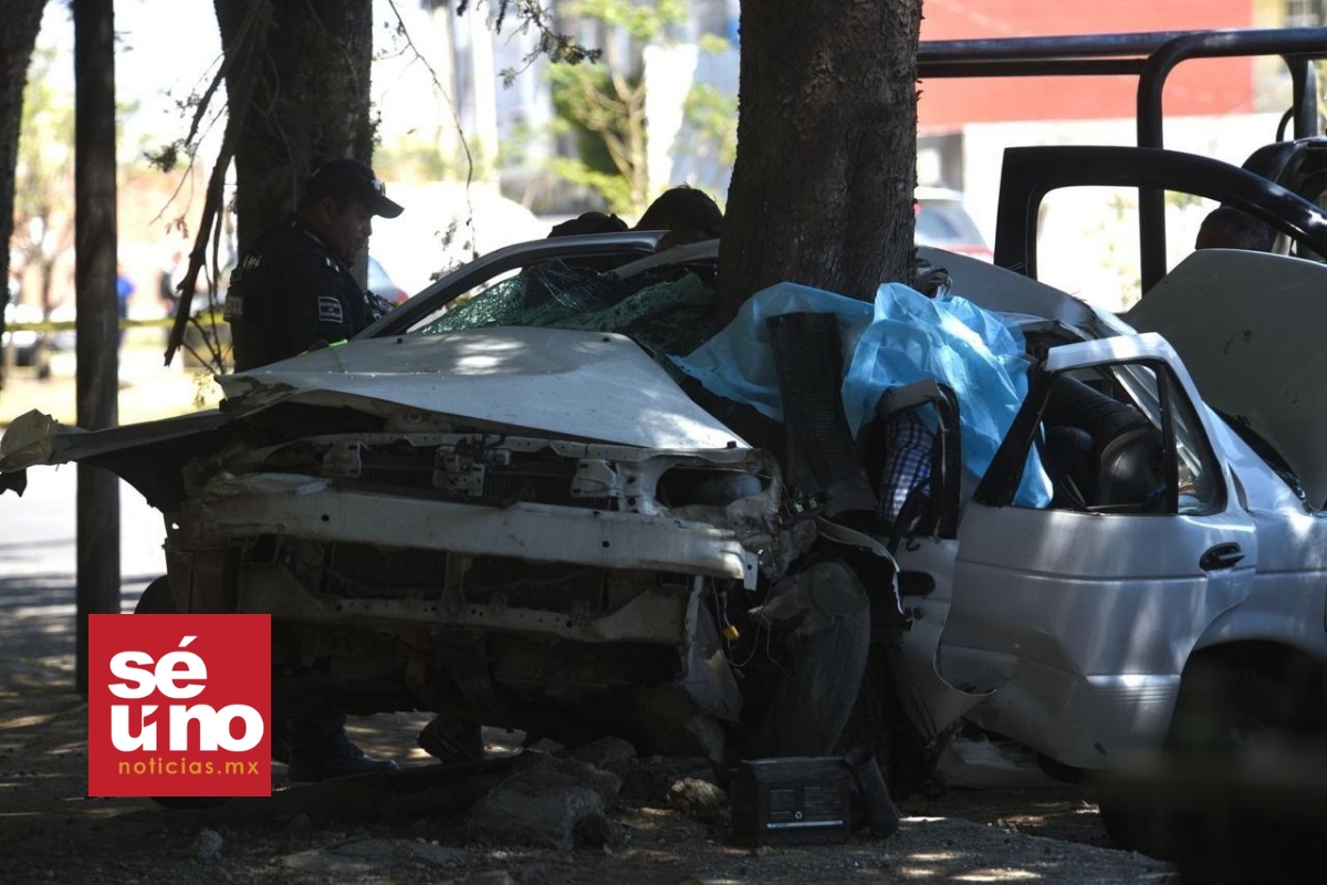 Mueren dos tras chocar contra árbol en límites de Toluca y Zinacantepec